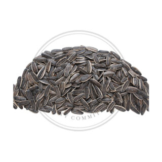 Sun flower seed